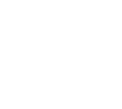 Custom website