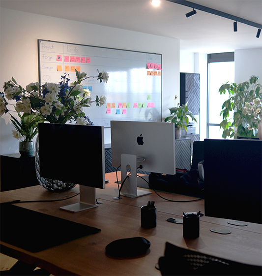 Onze development diensten